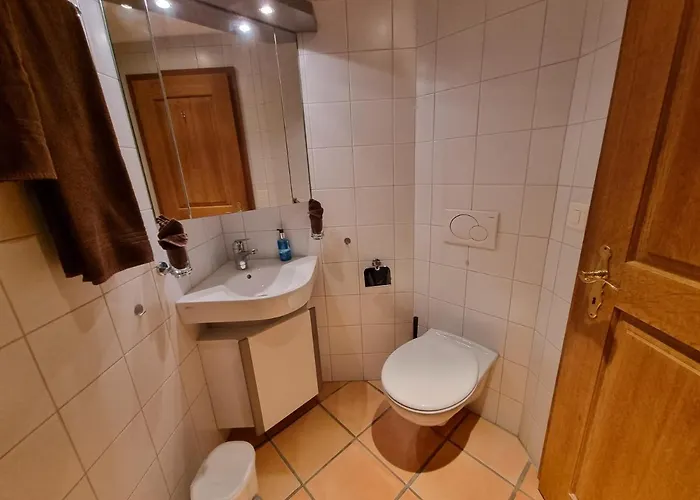 Mom - Alpine Boutique Apartments, Fagus, Terrace Lejlighed Grindelwald