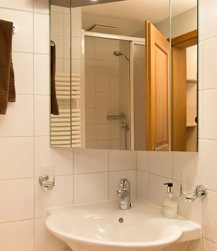 Mom - Alpine Boutique Apartments, Fagus, Terrace Lejlighed